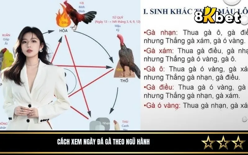 Cách xem ngày đá gà theo ngũ hành 