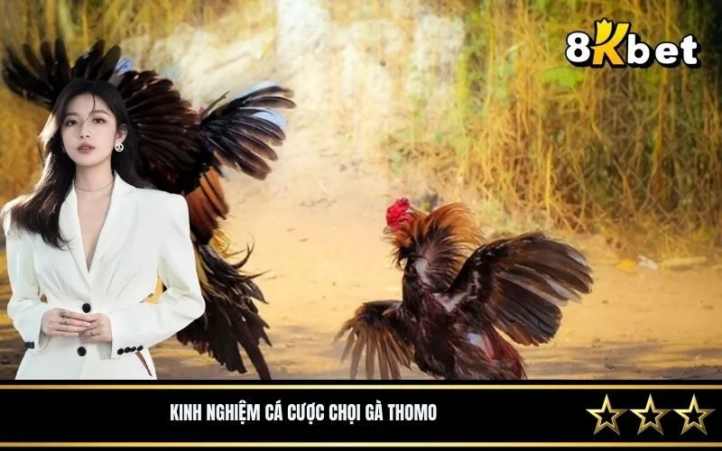 Kinh Nghiệm Cá Cược Chọi Gà Thomo