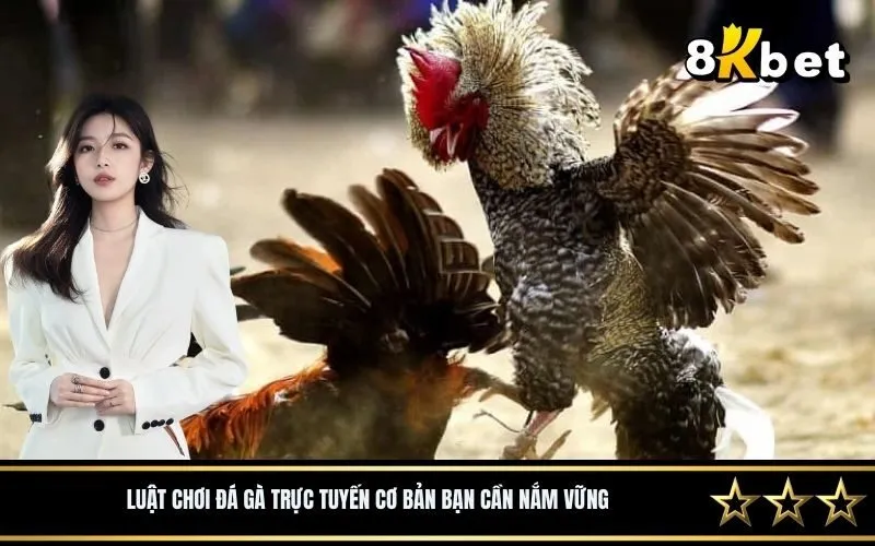 Luật chơi đá gà trực tuyến cơ bản bạn cần nắm vững