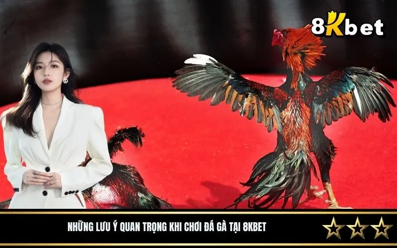Những lưu ý quan trọng khi chơi đá gà tại 8Kbet